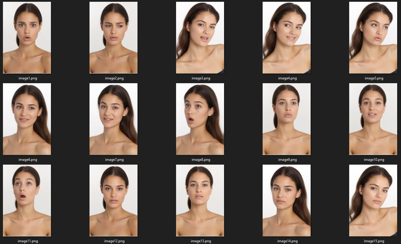 [Image: dataset.jpg]